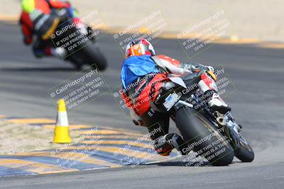 media/Mar-10-2024-SoCal Trackdays (Sun) [[6228d7c590]]/9-Turn 8 Backside (1150am)/